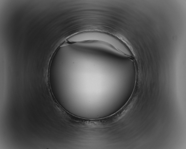X0000087741089200705291008