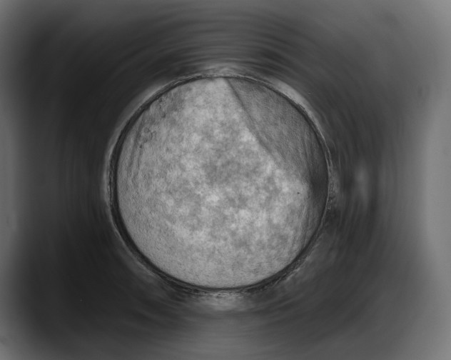 X0000087741090200705291008