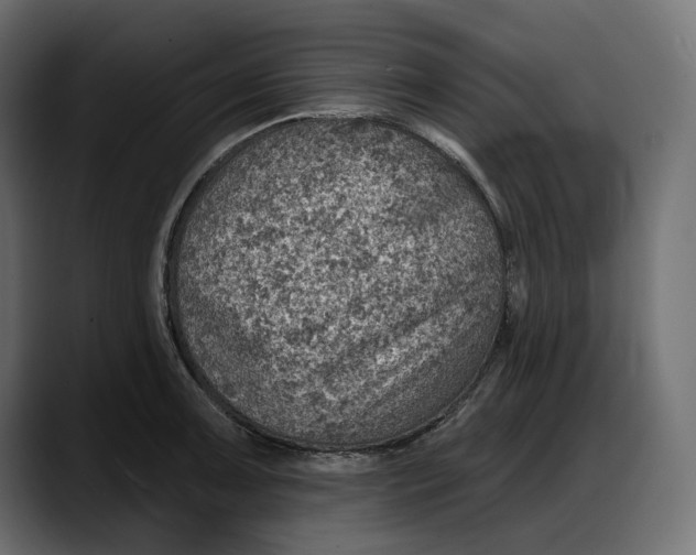 X0000087741091200705291008