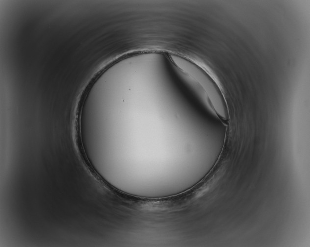X0000087741093200705291008