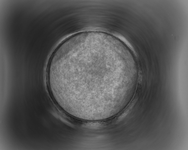 X0000087741094200705291008