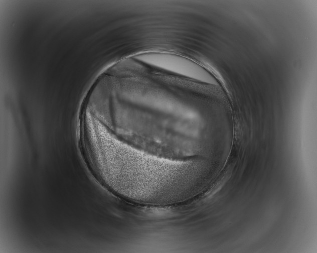 X0000087741095200705291008