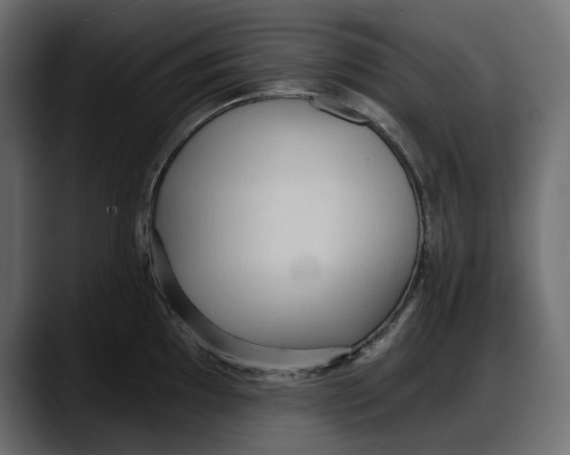 X0000087741097200705291008