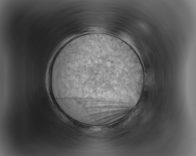 X0000087741098200705291008