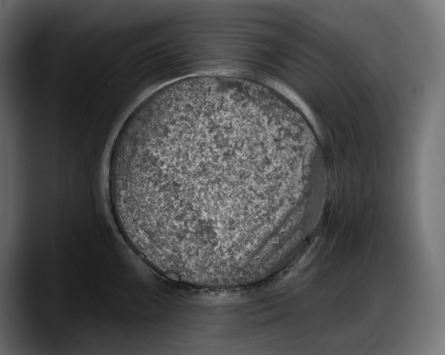 X0000087741099200705291008