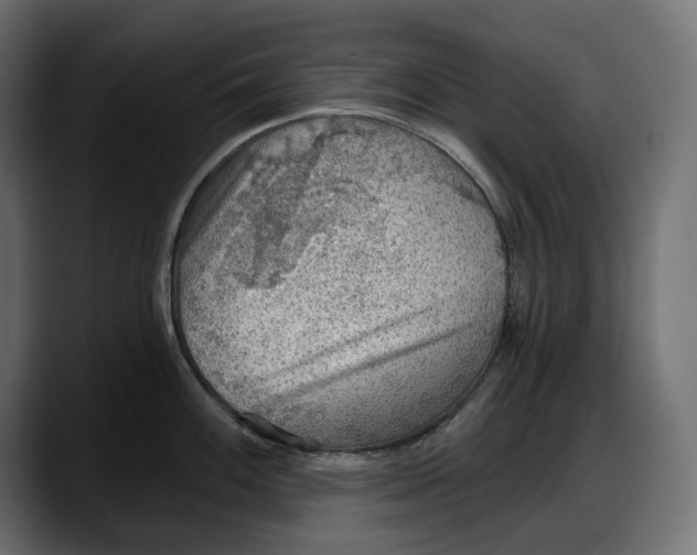 X0000087741100200705291008