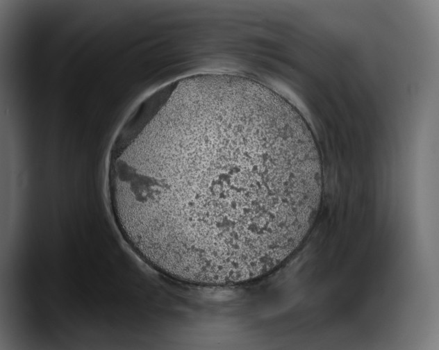 X0000087741103200705291007