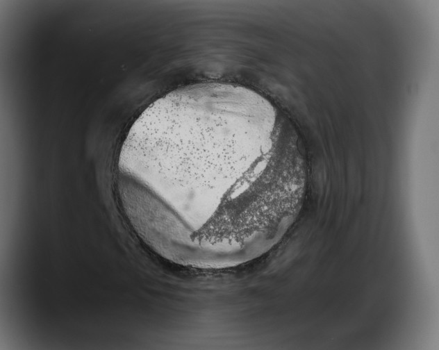 X0000087741105200705291007