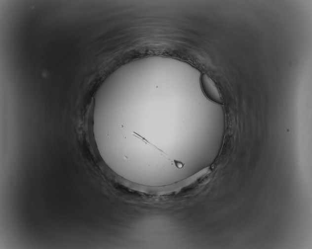 X0000087741109200705291007