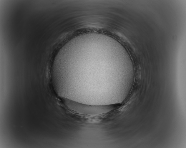 X0000087741110200705291007