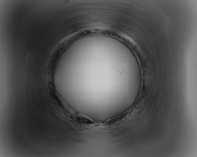 X0000087741112200705291007