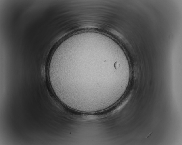 X0000087741113200705291007
