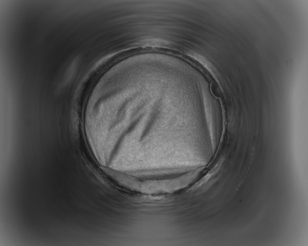 X0000087741115200705291007