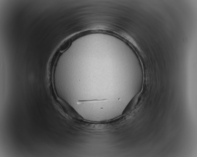 X0000087741116200705291007