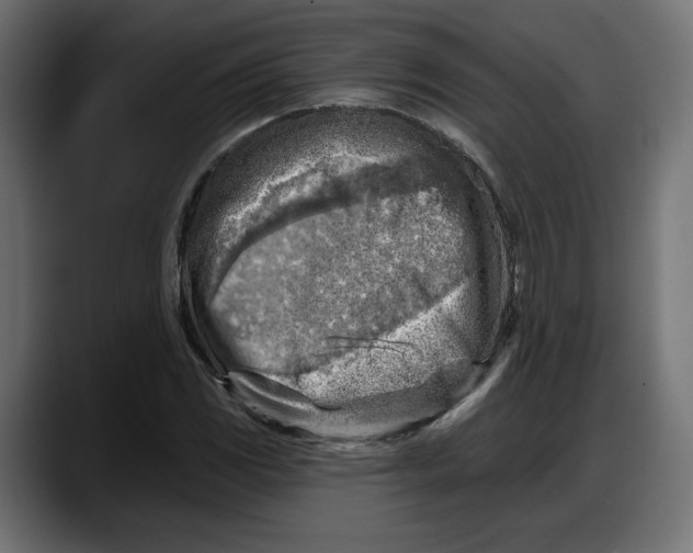 X0000087741117200705291007