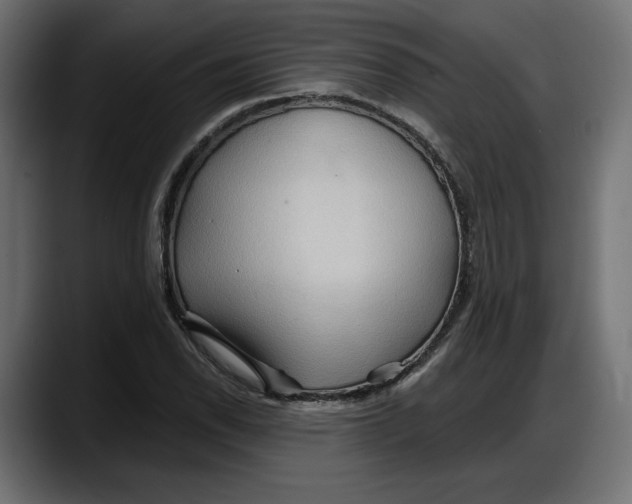 X0000087741118200705291007
