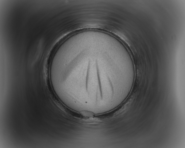X0000087741119200705291007