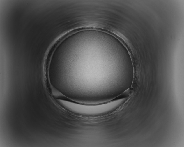 X0000087741120200705291007