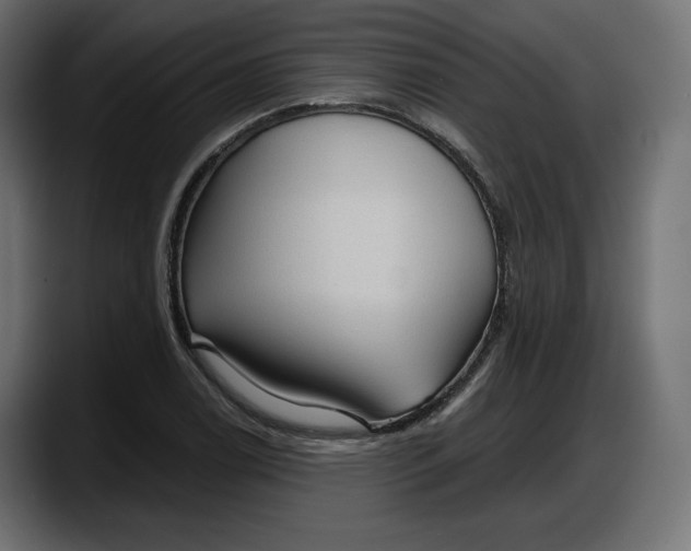 X0000087741122200705291007