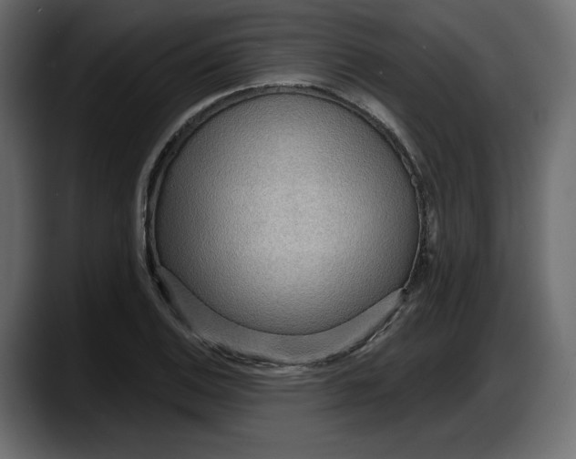 X0000087741124200705291007