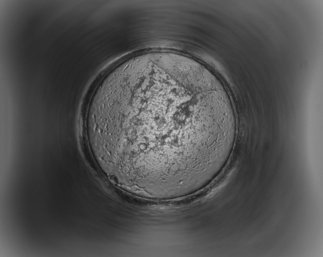 X0000087741125200705291007