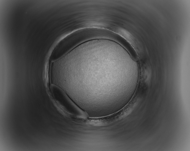 X0000087741128200705291007