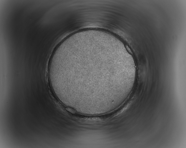 X0000087741129200705291007