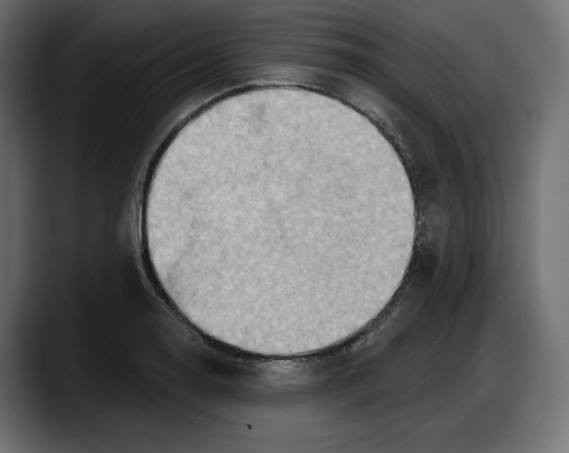 X0000087741130200705291007