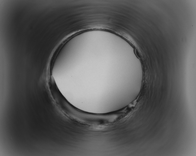 X0000087741132200705291007