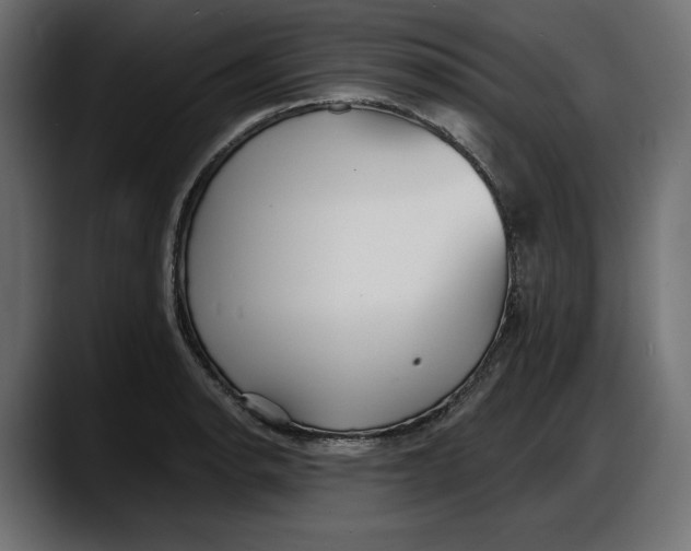 X0000087741134200705291007