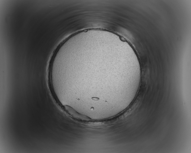 X0000087741135200705291007