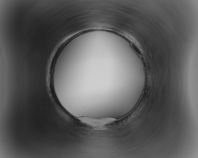 X0000087741136200705291007