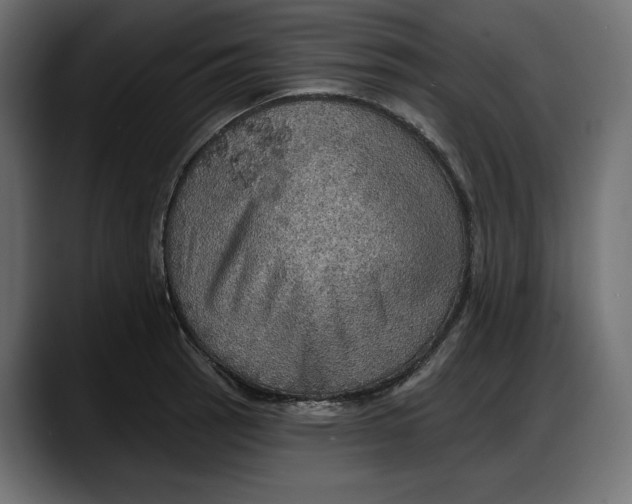 X0000087741137200705291007