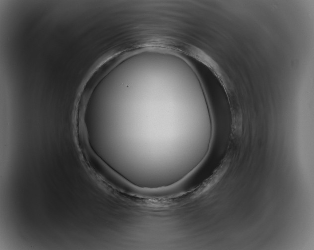 X0000087741138200705291007