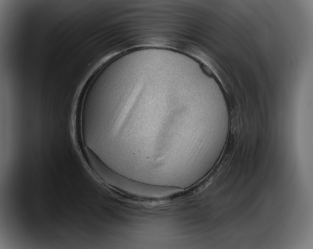 X0000087741139200705291007