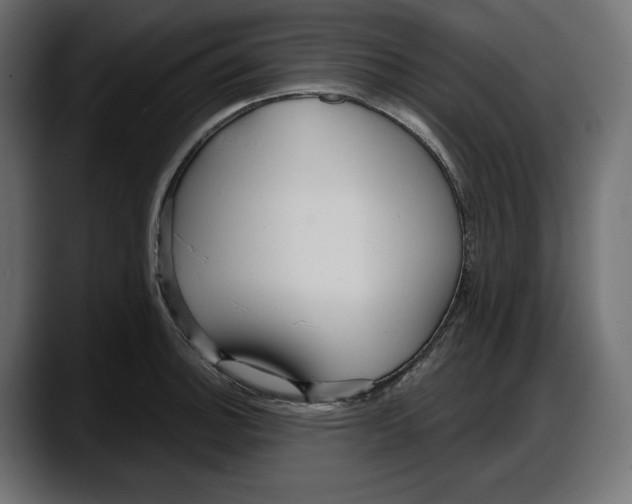 X0000087741140200705291007