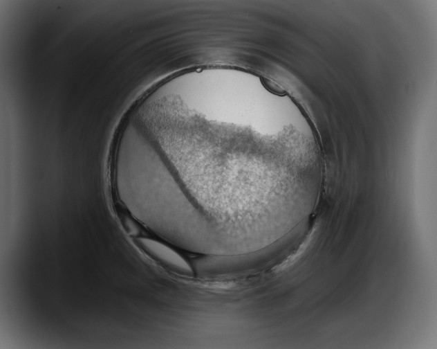 X0000087741141200705291007
