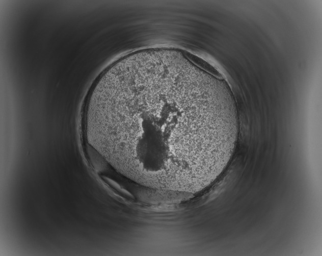 X0000087741142200705291007