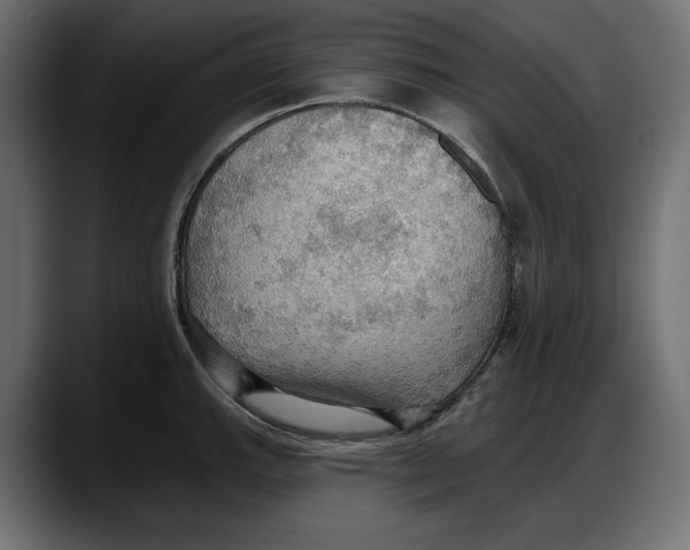 X0000087741143200705291007