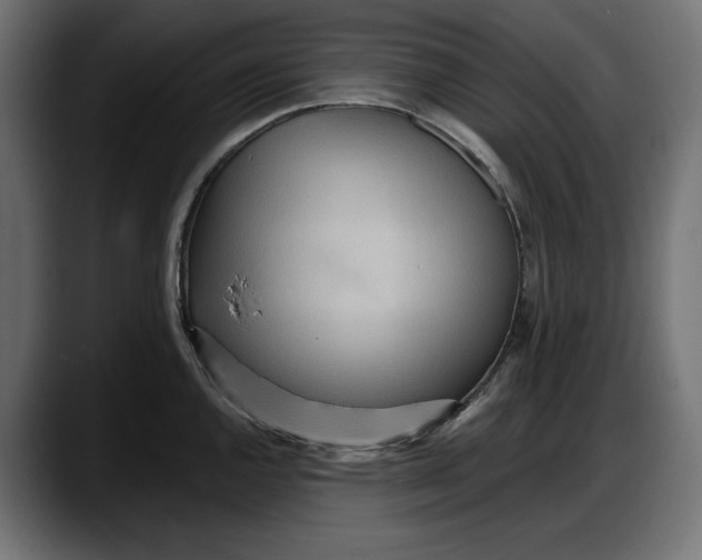 X0000087741144200705291007