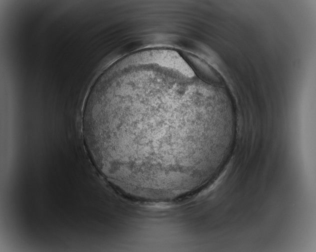 X0000087741145200705291007