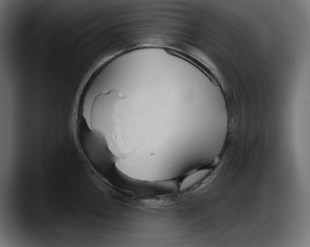 X0000087741146200705291007