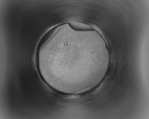 X0000087741147200705291007