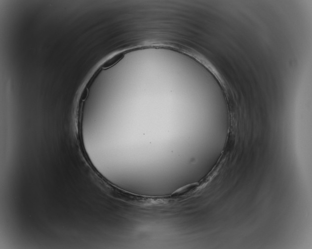 X0000087741148200705291007