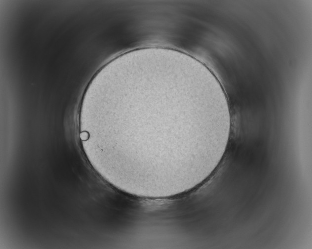 X0000087741150200705291007
