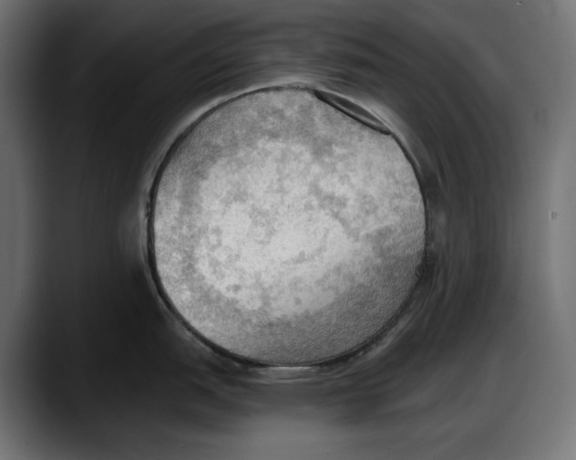 X0000087741151200705291007