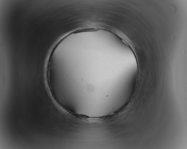 X0000087741152200705291007