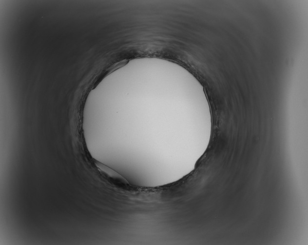 X0000087741153200705291007