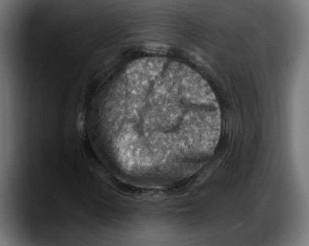 X0000087741154200705291007