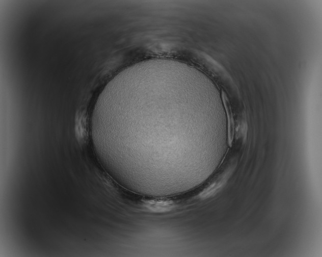 X0000087741156200705291007